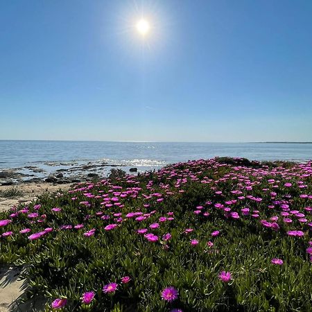 Home Salento 1 ตอร์เรวาโด ภายนอก รูปภาพ