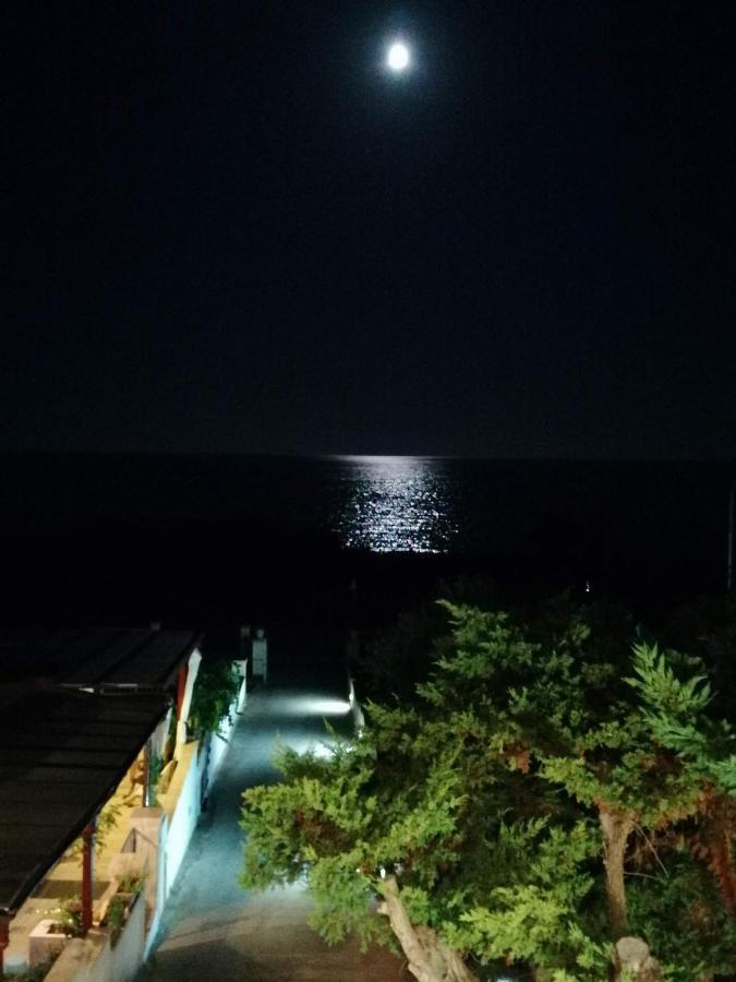 Home Salento 1 ตอร์เรวาโด ภายนอก รูปภาพ