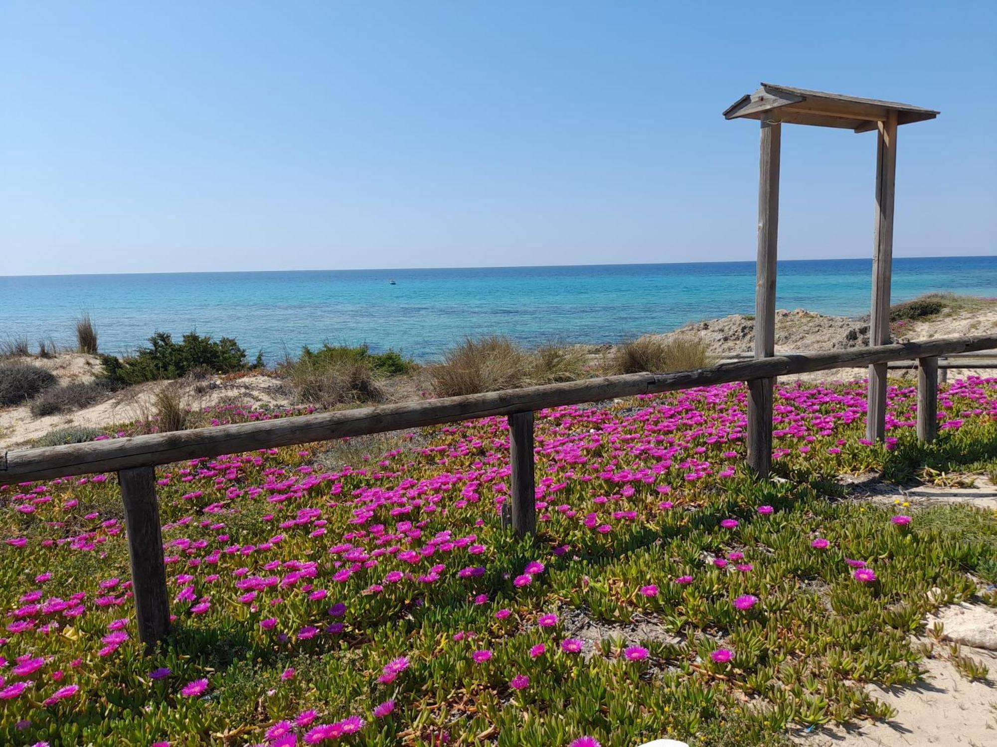 Home Salento 1 ตอร์เรวาโด ภายนอก รูปภาพ