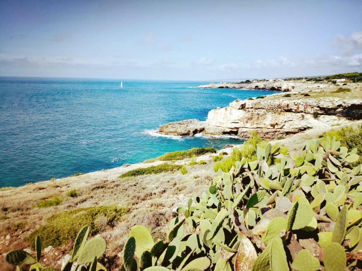 Home Salento 1 ตอร์เรวาโด ภายนอก รูปภาพ